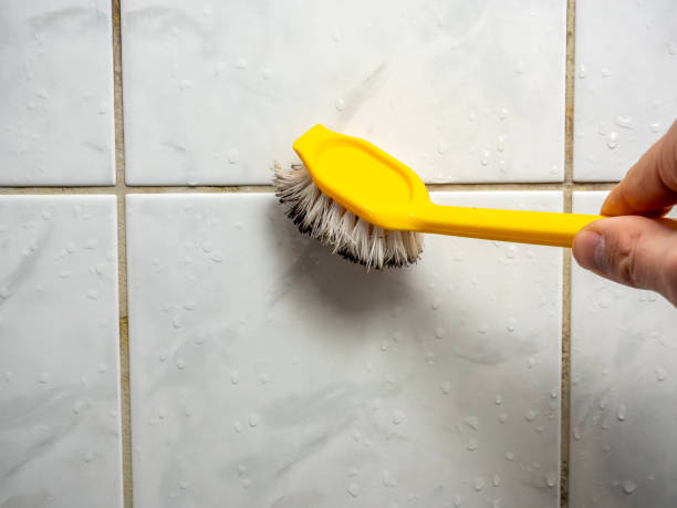 Best Mold Remediation  in West Glendive, MT