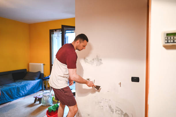 Best Same-Day Mold Removal  in West Glendive, MT