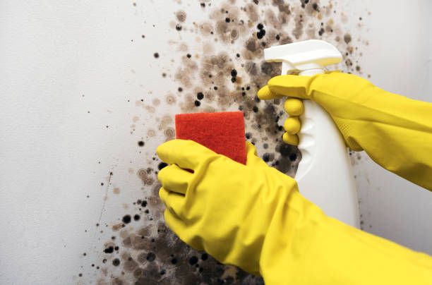 Water Damage Restoration in West Glendive, MT